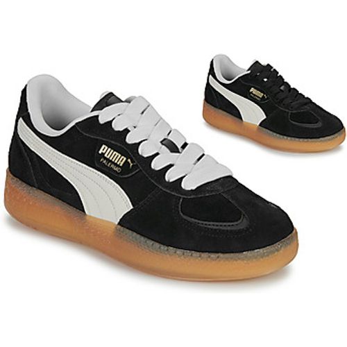 Palermo Moda Xtra Gum Wns women's Shoes (Trainers) in - Puma - Modalova