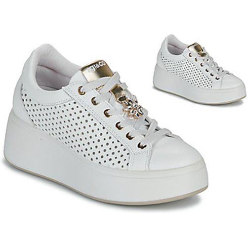 IgI&CO D.ALLY women's Shoes (Trainers) in - IGI&Co - Modalova