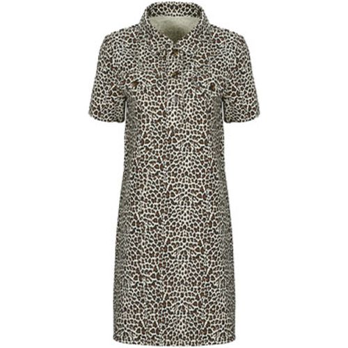 CIERA women's Dress in - Betty London - Modalova