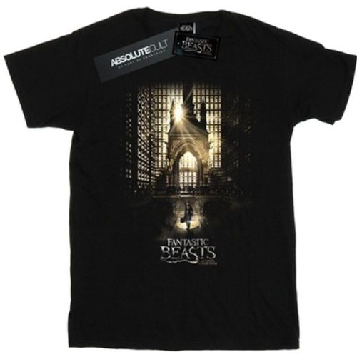 BI24942 men's in - Fantastic Beasts - Modalova