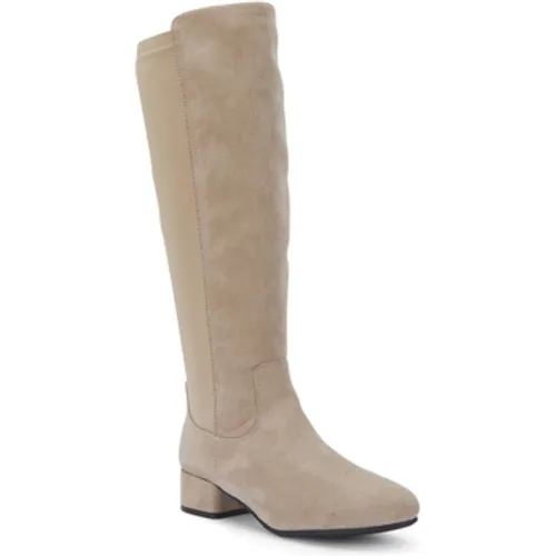 Knee High Boot with Block Heel and Zip Closure women's High Boots in - Truffle Collection - Modalova