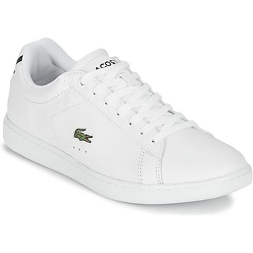 CARNABY EVO BL 1 women's Shoes (Trainers) in - Lacoste - Modalova