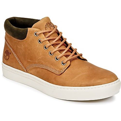 Turnschuhe ADVENTURE 2.0 CUPSOLE CHK - Timberland - Modalova