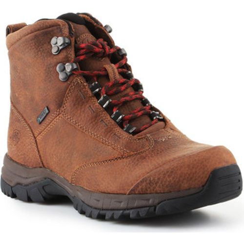 Damenschuhe Trekkingschuhe Berwick Lace Gtx Insulated 10016229 - ARIAT - Modalova