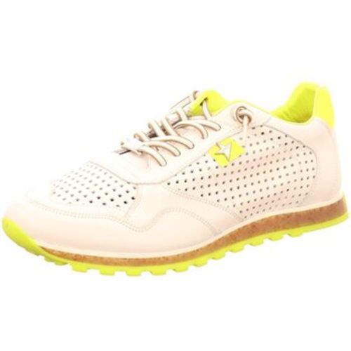 Diverse Sneaker CMB261 IE - Diverse - Modalova