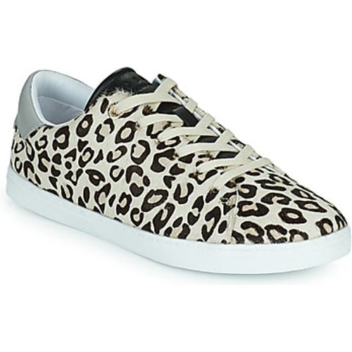 Ted Baker Sneaker FEEKEY - Ted Baker - Modalova