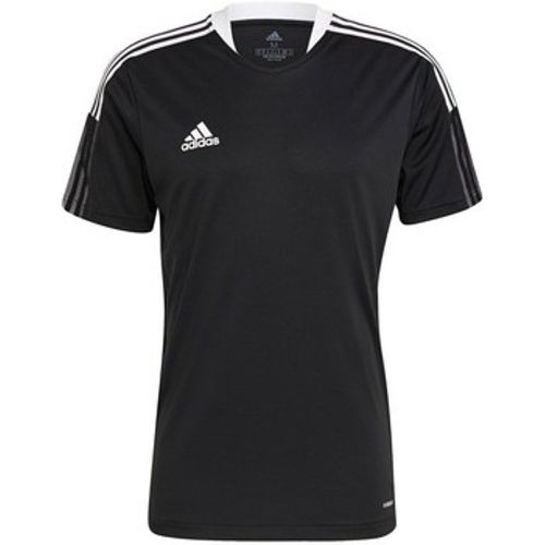 T-Shirt Tiro 21 Training Tshirt - Adidas - Modalova