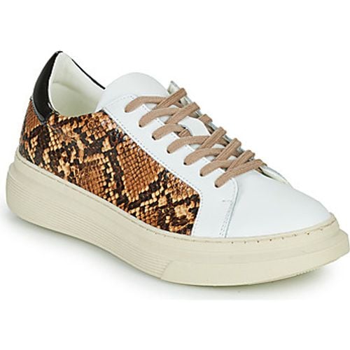 Betty London Sneaker PAROLE - Betty London - Modalova