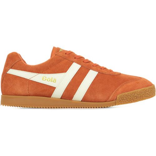 Gola Sneaker Harrier Suede - Gola - Modalova