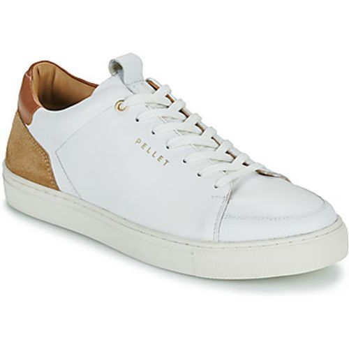 Pellet Sneaker SIMON - Pellet - Modalova