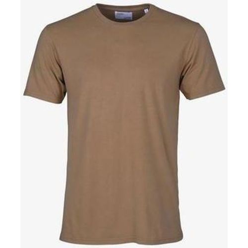 T-Shirt T-shirt Sahara Camel - Colorful Standard - Modalova