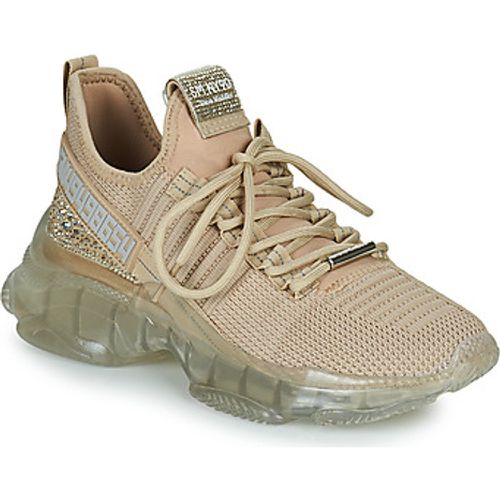 Steve Madden Sneaker MAXILLA-R - Steve Madden - Modalova