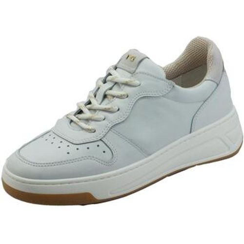 Sneaker E218200D Velvet - NeroGiardini - Modalova