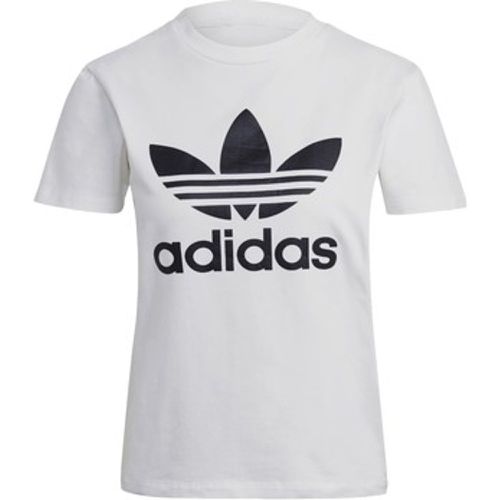 T-Shirt Adicolor Classics Trefoil Tee - Adidas - Modalova
