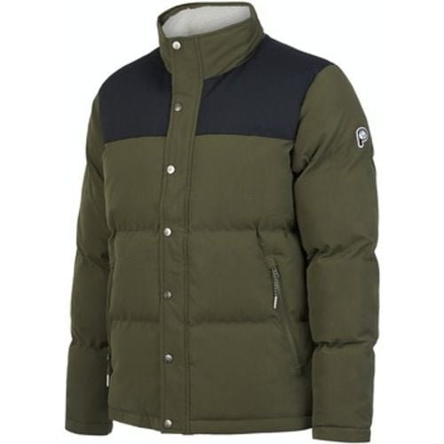 Daunenjacken Veste matelassée à col cheminée bear cut and sew - Penfield - Modalova