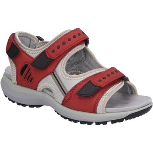 Westland Sandalen Olivia 02, rot - Westland - Modalova