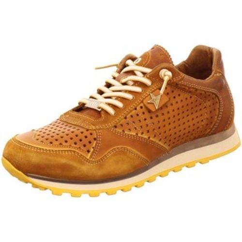 Cetti Sneaker C-848-orujo - Cetti - Modalova