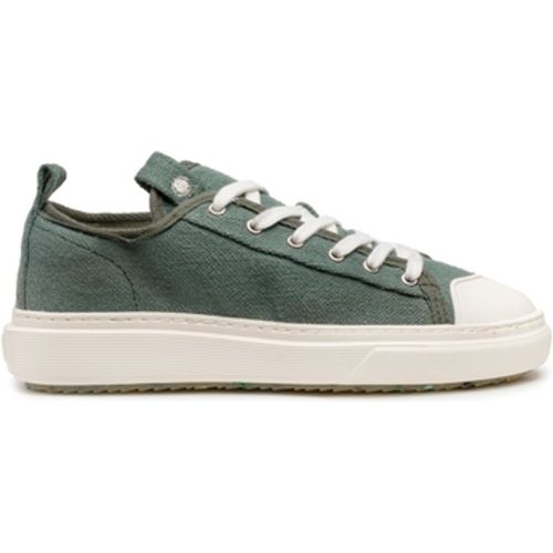 Zouri Sneaker Mahi Mahi - Green - Zouri - Modalova