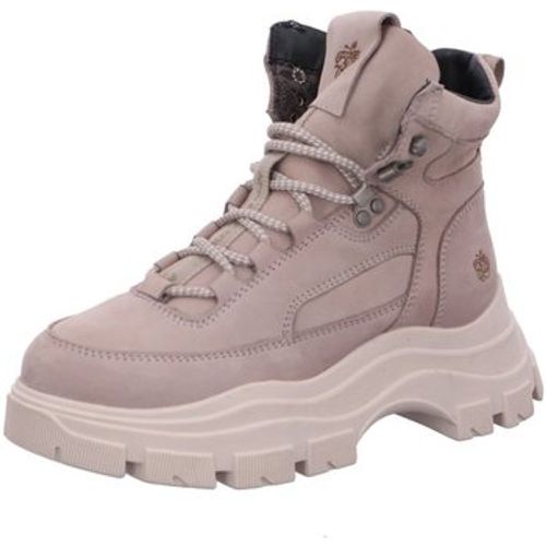 Stiefel Stiefeletten Amazing 12 Amazing 12 light grey Nubuk Amazing 12 - Apple of Eden - Modalova