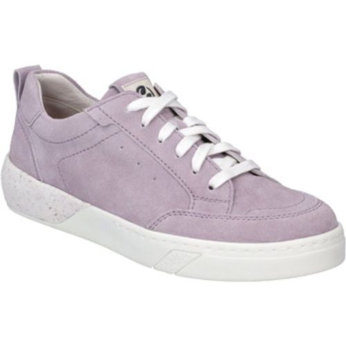 Sneaker Wilma 03, purple - Josef Seibel - Modalova