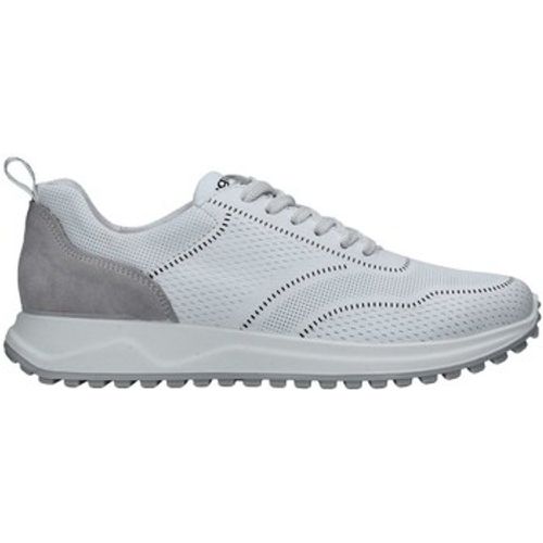 IgI&CO Sneaker 3629000 - IGI&Co - Modalova