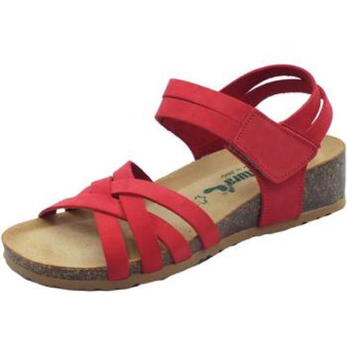 Sandalen 12A2401 Nabcor Imb Nabuk - Bionatura - Modalova