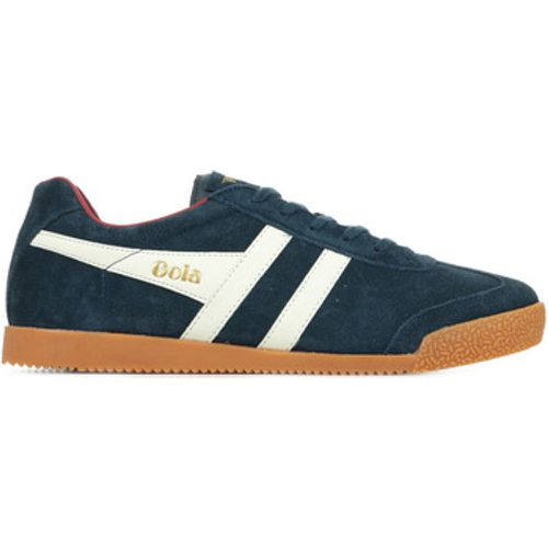 Gola Sneaker Harrier Suede - Gola - Modalova