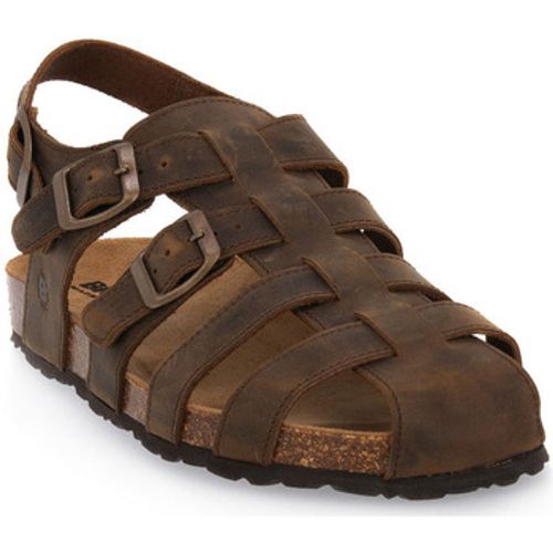 Sandalen KAI MARRONE INGRASSATO - Bioline - Modalova