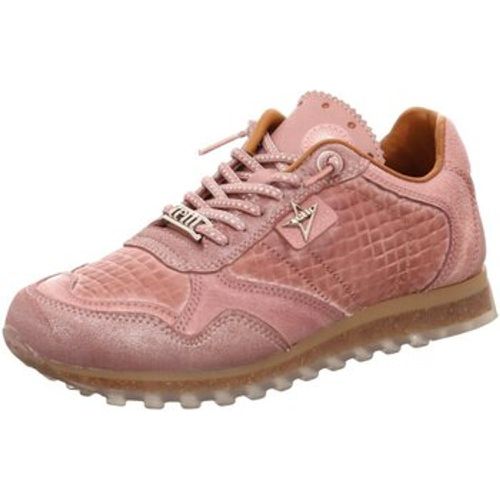 Sneaker C848 SRA mosaico tin old rose - Cetti - Modalova