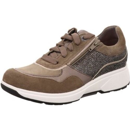 Halbschuhe Schnuerschuhe 30204.2.505 HX taupe - Xsensible - Modalova