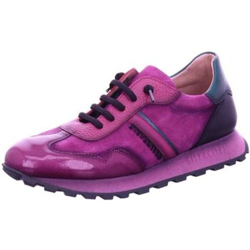 Halbschuhe Schnuerschuhe HI 233073 magenta - Hispanitas - Modalova