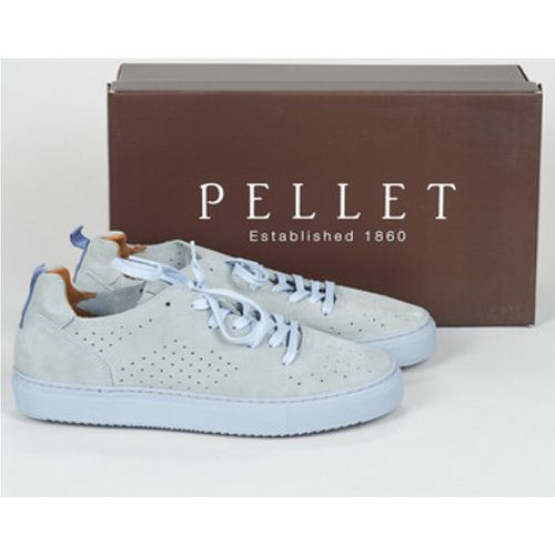 Pellet Sneaker SANDRON - Pellet - Modalova