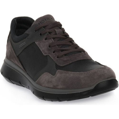 IgI&CO Sneaker ERMES GTX - IGI&Co - Modalova