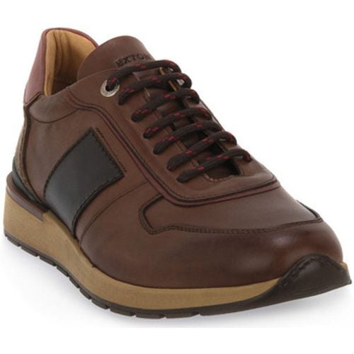 Exton Sneaker PRAGA LEGNO - Exton - Modalova