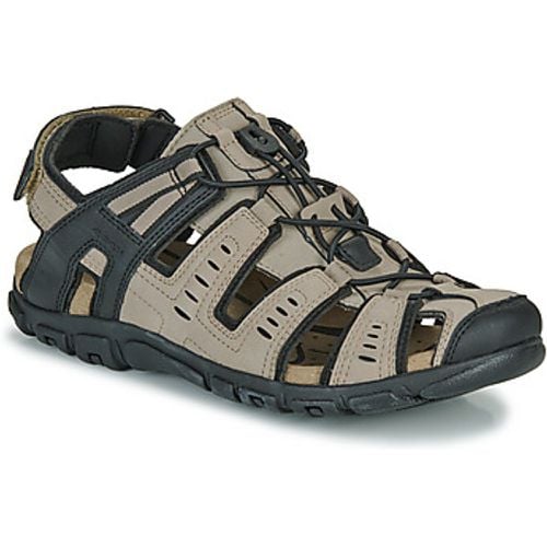 Geox Sandalen UOMO SANDAL STRADA - Geox - Modalova