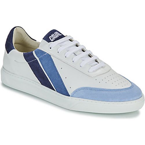 Sneaker LOW SLASH 50 SHADES OF BLUE - Caval - Modalova