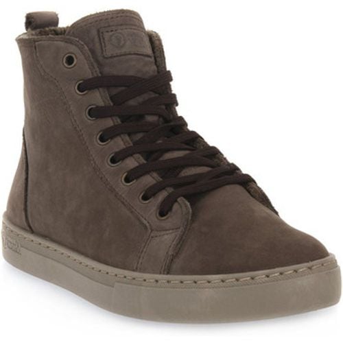 Natural World Sneaker BOTA CATSANO - Natural World - Modalova