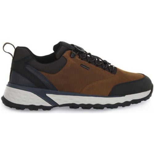 Geox Sneaker STERRATO - Geox - Modalova