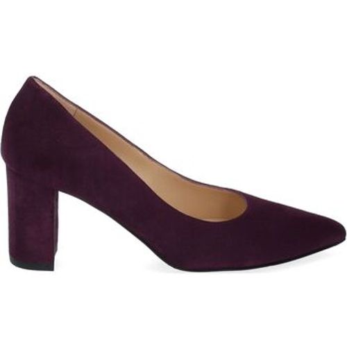 Peter Kaiser Pumps Pumps - Peter Kaiser - Modalova