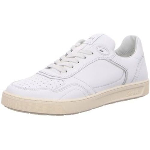 Sneaker TEDROSO-704 11392 (G) - Sioux - Modalova