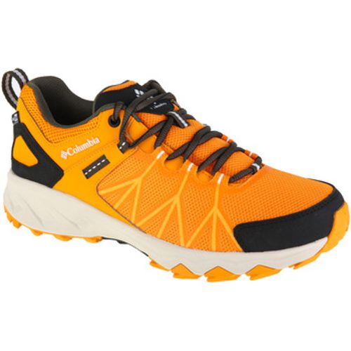 Herrenschuhe Peakfreak II Outdry - Columbia - Modalova