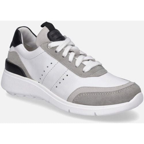 Sneaker Giulietta 01, -grau - Josef Seibel - Modalova