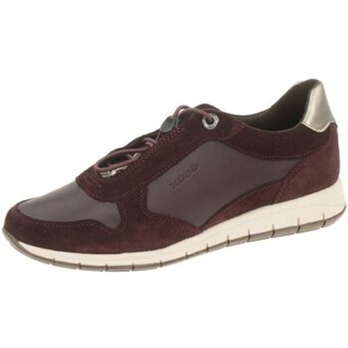 Halbschuhe Schnuerschuhe Contact Schuhe bordo D6406A 022BCC7357 - Geox - Modalova