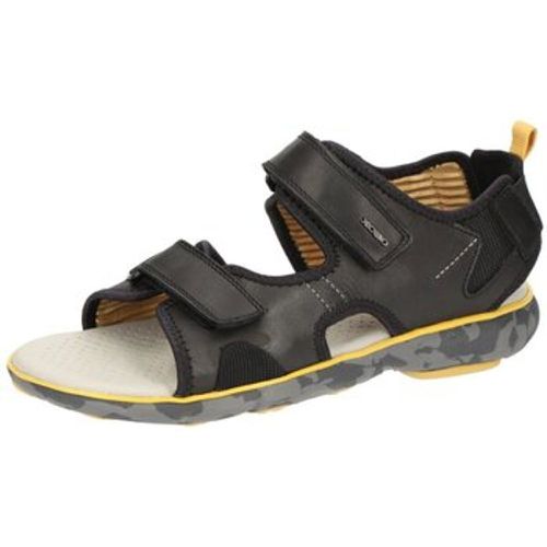 Herrenschuhe Offene Nebula Sandale gelb U926WB 00043C9999 - Geox - Modalova