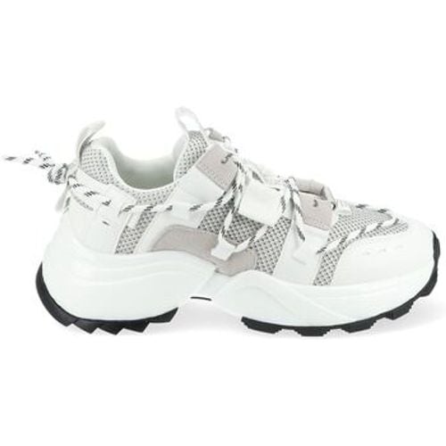 Steve Madden Sneaker Sneaker - Steve Madden - Modalova