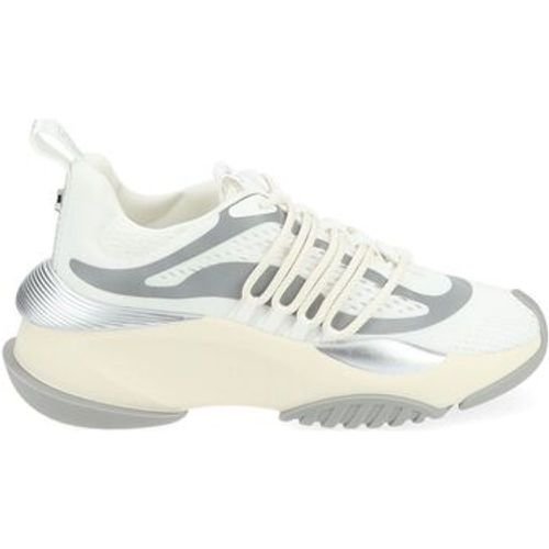 Steve Madden Sneaker Sneaker - Steve Madden - Modalova