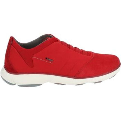 Geox Sneaker Sneaker - Geox - Modalova