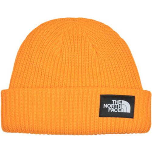 Mütze SALTY LINED BEANIE - The North Face - Modalova