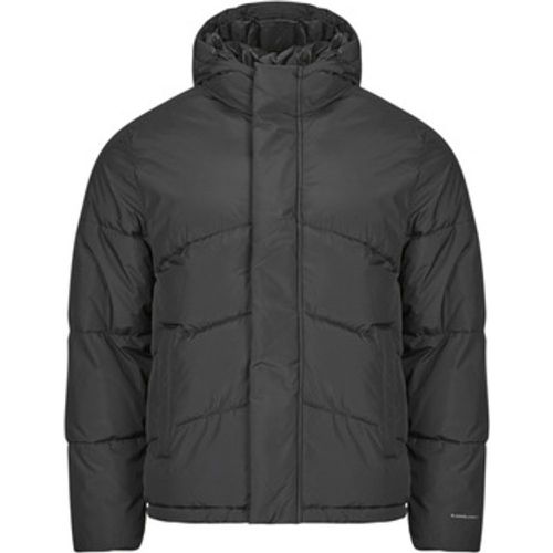 Jack & Jones Daunenjacken JJWORLD - jack & jones - Modalova