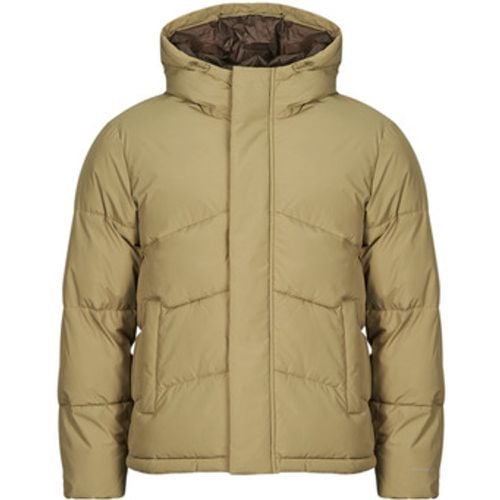 Jack & Jones Daunenjacken JJWORLD - jack & jones - Modalova